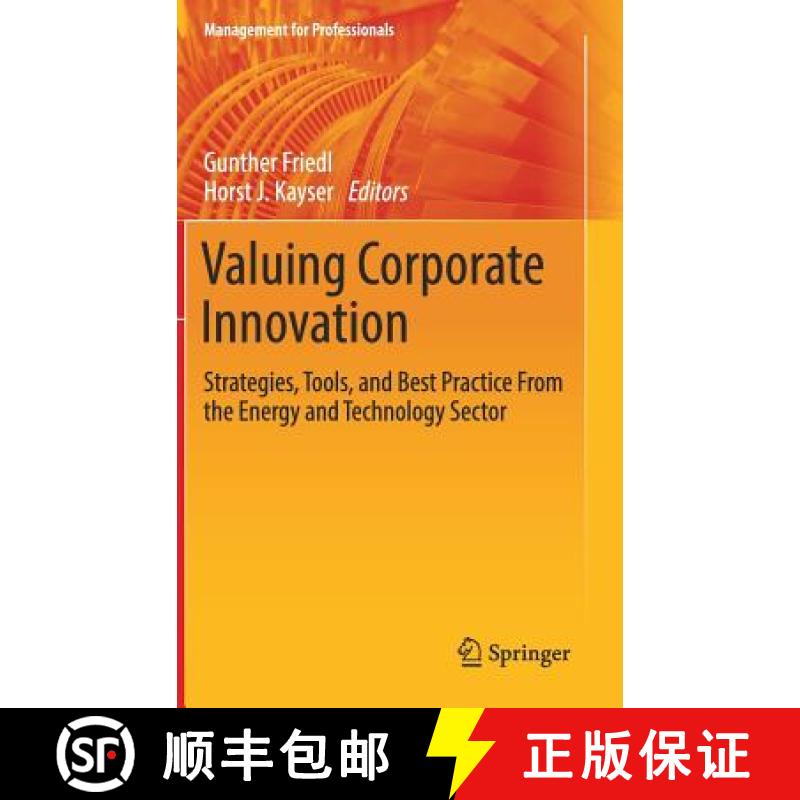 【3-4周达】Valuing Corporate Innovation : Strategies, Tools, and Best Practice From the Energy and Te... [9783319648637]