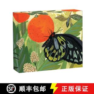 Color 4周达 Butterflies Quicknotes Box Full Notecards Teneues Inside Blank 9781623259068 wit... Notecard