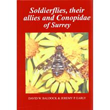 预订 Soldierflies, their Allies and Conopidae of Surrey [9780955618857]