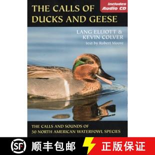 With 9780811734905 The Duck and 4周达 Calls Geese