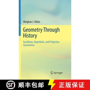 Projective 9783030089238 Geometry Euclidean Hyperbolic History 4周达 Through Geometries and