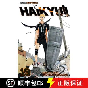 Haikyu 4周达 Vol. 9781421591094 Volume
