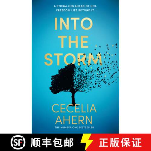 Cecelia Ahern Untitled Novel 4 [9780008195038]