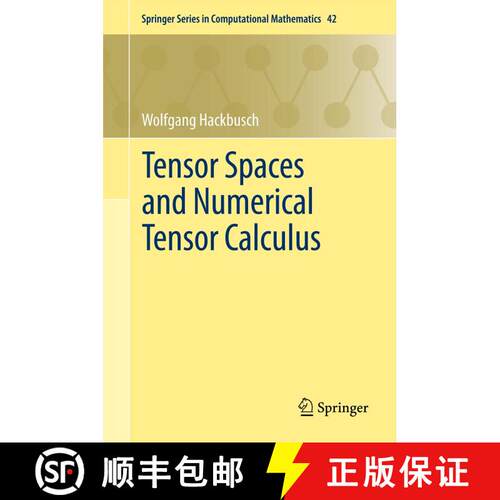 【3-4周达】精装 Tensor Spaces and Numerical Tensor Calculus [9783642280269]