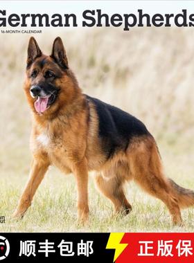 【3-4周达】German Shepherds 2026 12 X 24 Inch (Hanging) Monthly Square Wall Calendar Plastic-Free [9798330703388]