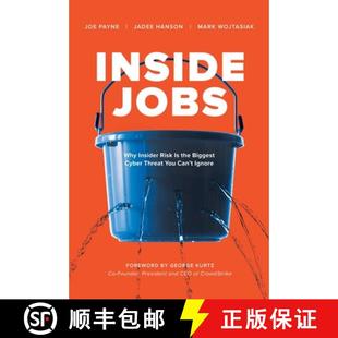 You the Biggest Jobs Insider 9781510764484 Ignore Inside Why Risk Threat Cyber Can 4周达