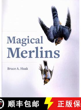 预订 Magical Merlins [9780997816549]