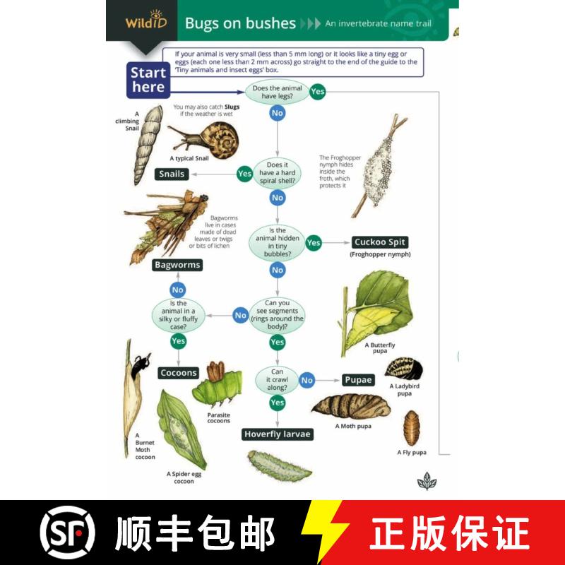 【2-3周达】Bugs on Bushes: Occasional Publication 77 [9781851538874]