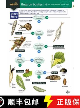 【3-4周达】Bugs on Bushes: Occasional Publication 77 [9781851538874]