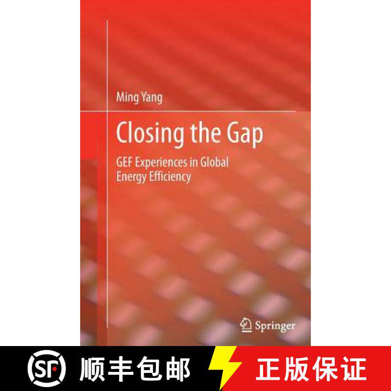 【3-4周达】Closing the Gap : GEF Experiences in Global Energy Efficiency [9781447162230]