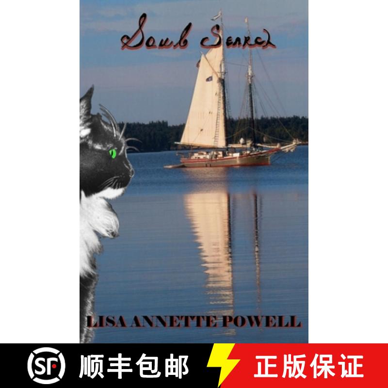 【3-4周达】Soul Search [9780990642879]