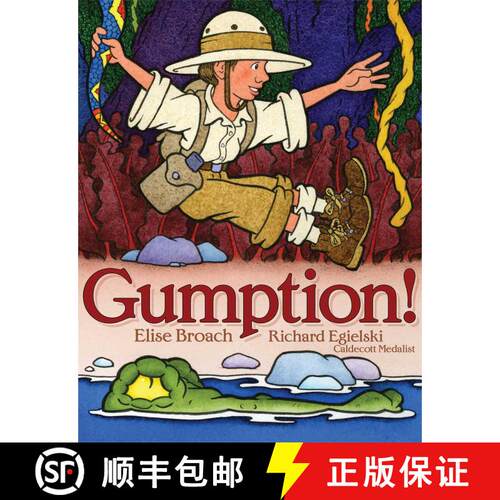 【3-4周达】精装 Gumption! [9781416916284]