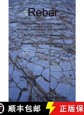 【3-4周达】Rebar [9781678127879]
