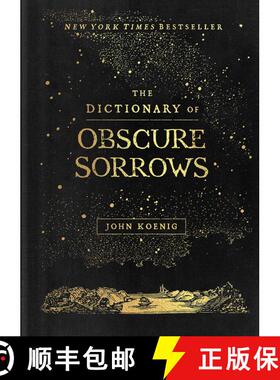 现货 悲伤词典 The Dictionary of Obscure Sorrows [9781501153648]