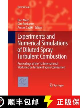 【3-4周达】Experiments and Numerical Simulations of Diluted Spray Turbulent Combustion: Proceedings o... [9789401778572]