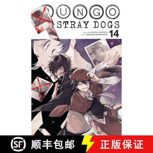 Bungo Stray Dogs, Vol. 14: Volume 14 [9781975304584]