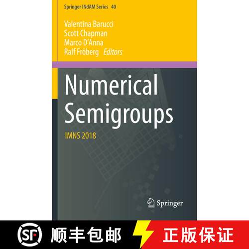 【3-4周达】Numerical Semigroups : IMNS 2018 [9783030408244]