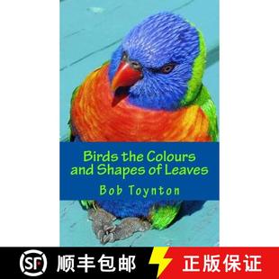 9781999958404 Shapes 4周达 Birds the and Colours Leaves