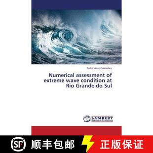 wave extreme Sul condition Grande 预订 Rio Numerical assessment 9783659699849