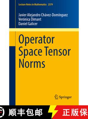 【3-4周达】Operator Space Tensor Norms [9783031962080]