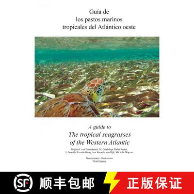 预订 A Guide to the Tropical Seagrasses of the Western Atlantic / Guía de los Pastos Marinos Tropica... [9786070212222]