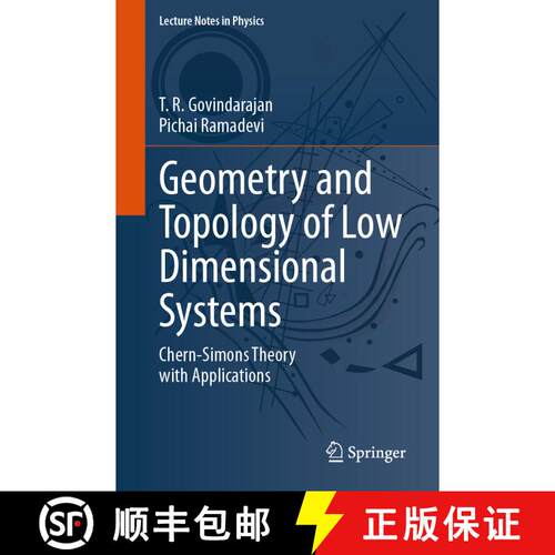【3-4周达】Geometry and Topology of Low Dimensional Systems: Chern-Simons Theory with Applications [9783031595004]