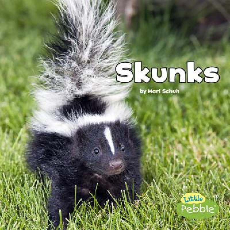 【4周达】Skunks [9781515736226] 书籍/杂志/报纸 儿童读物原版书 原图主图