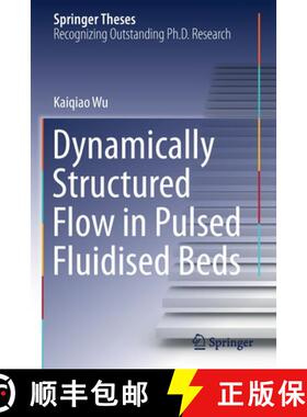 【3-4周达】Dynamically Structured Flow in Pulsed Fluidised Beds [9783030687540]