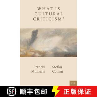 What 3周达 Cultural 9781804293379 Criticism?