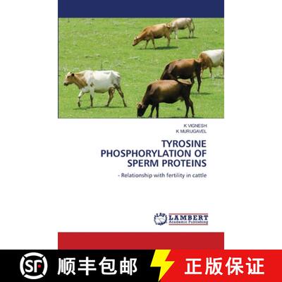 【3-4周达】TYROSINE PHOSPHORYLATION OF SPERM PROTEINS: - Relationship with fertility in cattle (Aufl.) [9786208171360]