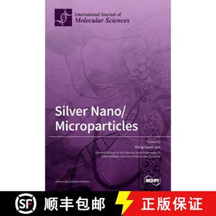 Microparticles 4周达 Nano 9783039432042 Silver
