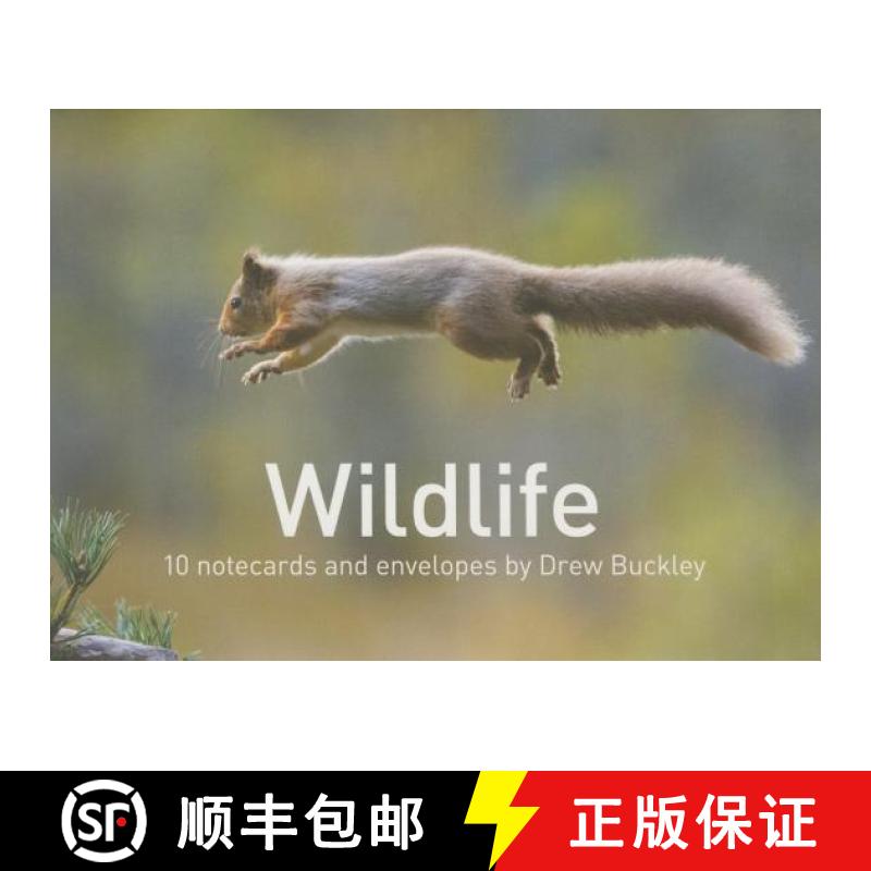 预订 Wildlife by Drew Buckley Notecards: 10 Cards and Envelopes [9781905582983]
