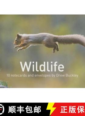 预订 Wildlife by Drew Buckley Notecards: 10 Cards and Envelopes [9781905582983]