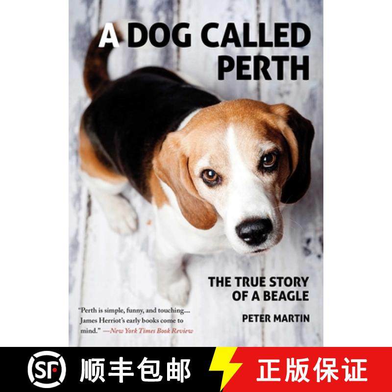 【3-4周达】A Dog Called Perth: The True Story of a Beagle [9781611458794]