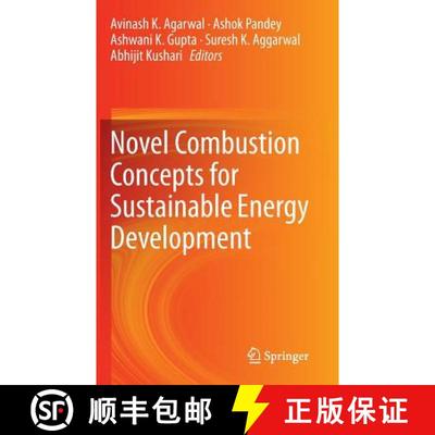 【3-4周达】Novel Combustion Concepts for Sustainable Energy Development [9788132222101]