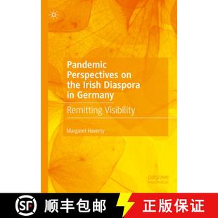 Pandemic 9783031652103 Visibility Diaspora 4周达 Perspectives Remitting the Germany Irish