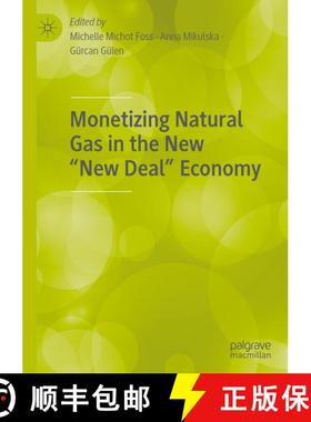 【3-4周达】Monetizing Natural Gas in the New “New Deal” Economy [9783030599829]