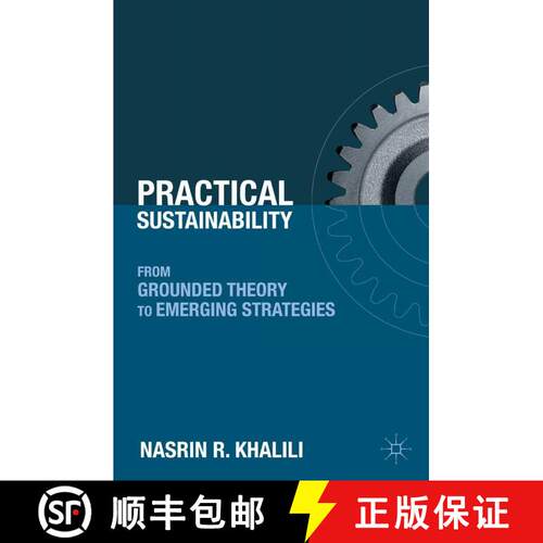 【3-4周达】Practical Sustainability : From Grounded Theory to Emerging Strategies (1st ed. 2011) [9781349289097]