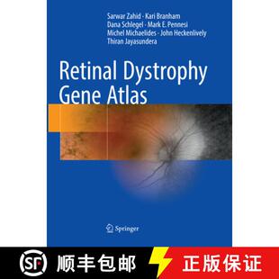Retinal 4周达 Dystrophy Gene 9783030132347 Atlas