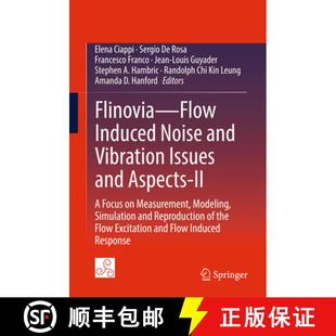 and Vibration Noise Flinovia—Flow Measurement Focus Issues ... Induced 4周达 9783319767796 Aspects