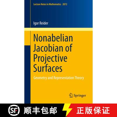 【3-4周达】Nonabelian Jacobian of Projective Surfaces : Geometry and Representation Theory [9783642356612]
