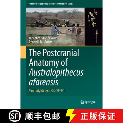 【3-4周达】精装 The Postcranial Anatomy of Australopithecus afarensis: New Insights from KSD-VP-1/1 (... [9789401774277]