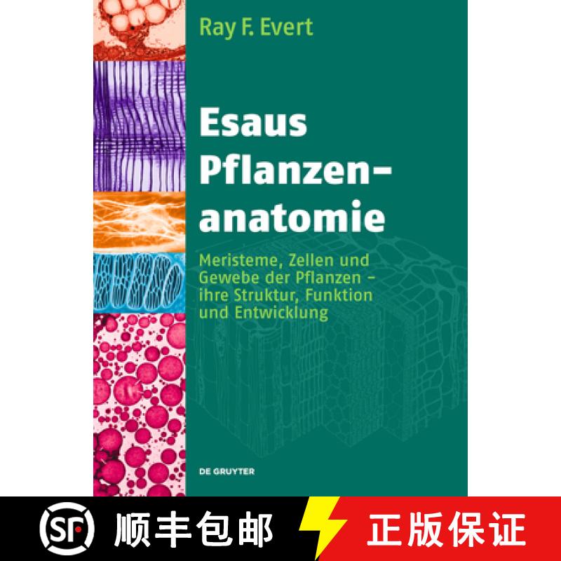 【3-4周达】Esaus Pflanzenanatomie：Meristeme, Zellen und Gewebe der Pflanzen - ihre Struktur, Funktio... [9783110205923]