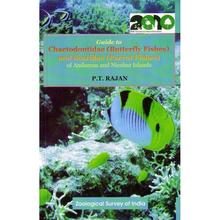 Butterfly Parrot 9788181712691 Guide Nicobar Scaridae and Fishes Chaetodontidae Andaman I... 预订