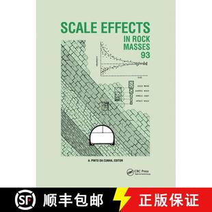 International Proceedings Effects Rock 9789054103226 Scale... Scale Masses Second the Workshop 4周达