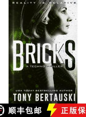 【3-4周达】Bricks: A Technothriller [9781951432225]