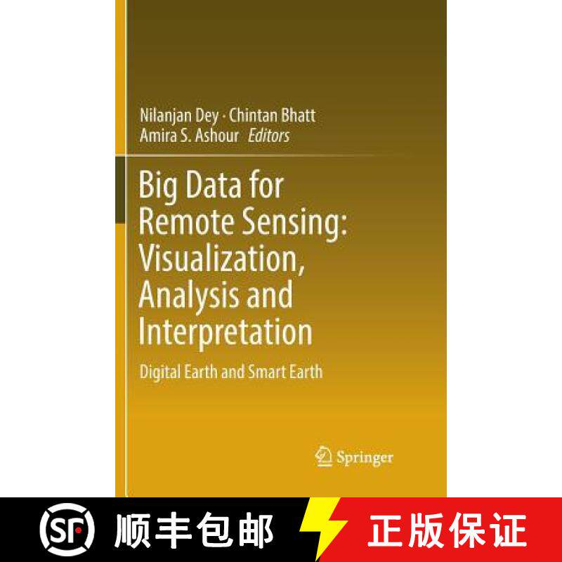 【3-4周达】Big Data for Remote Sensing: Visualization, Analysis and Interpretation : Digital Earth an... [9783030078959]