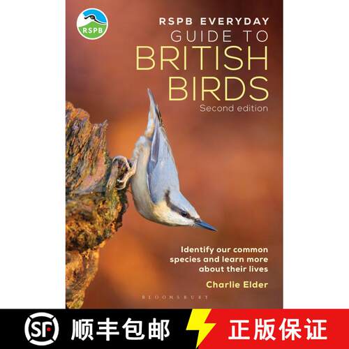 【3-4周达】The RSPB Everyday Guide to British Birds : Identify our common species and learn more abou... [9781399413275]