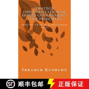Series 4周达 Implementation core Strategic mobileGov principles 9781912037711 mG... mobileGovernment