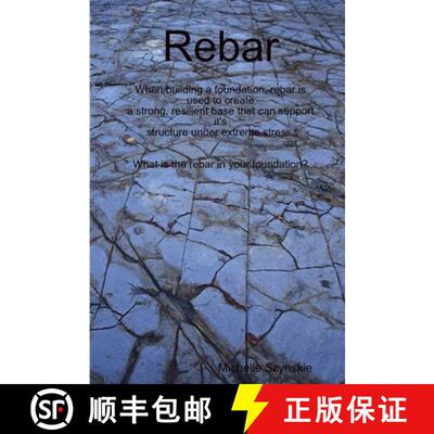 【3-4周达】Rebar [9781678127879]